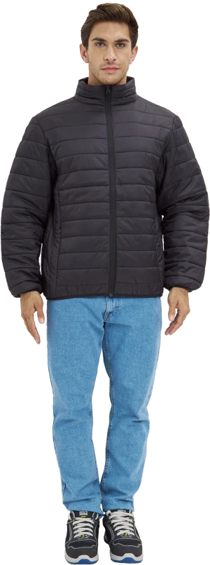 Куртка ДЕМИ стеганая, черный Кур 002