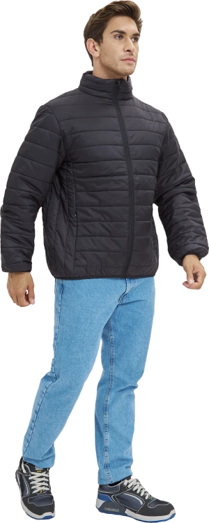 Куртка ДЕМИ стеганая, черный Кур 002